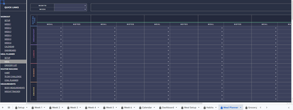 Iron Print Premium Workout Planner